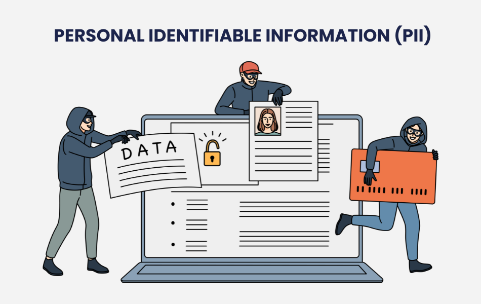 personal identifiable information as common targets of data breach